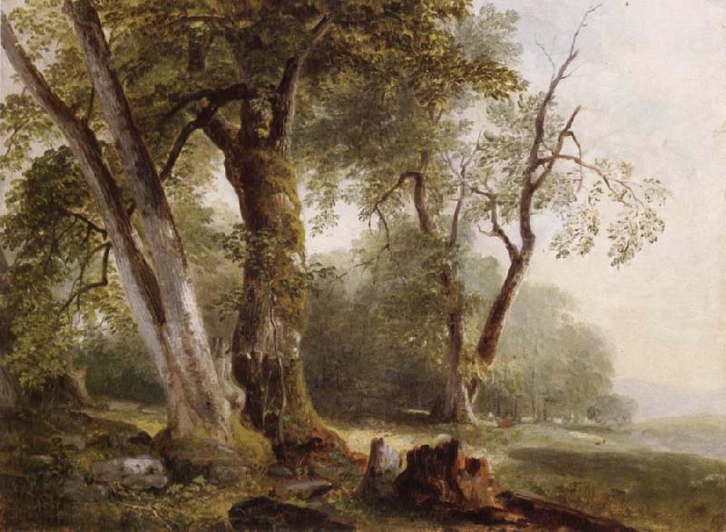 Asher Brown Durand Landscape with Beech Tree China oil painting art